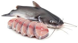 Catfish Whole