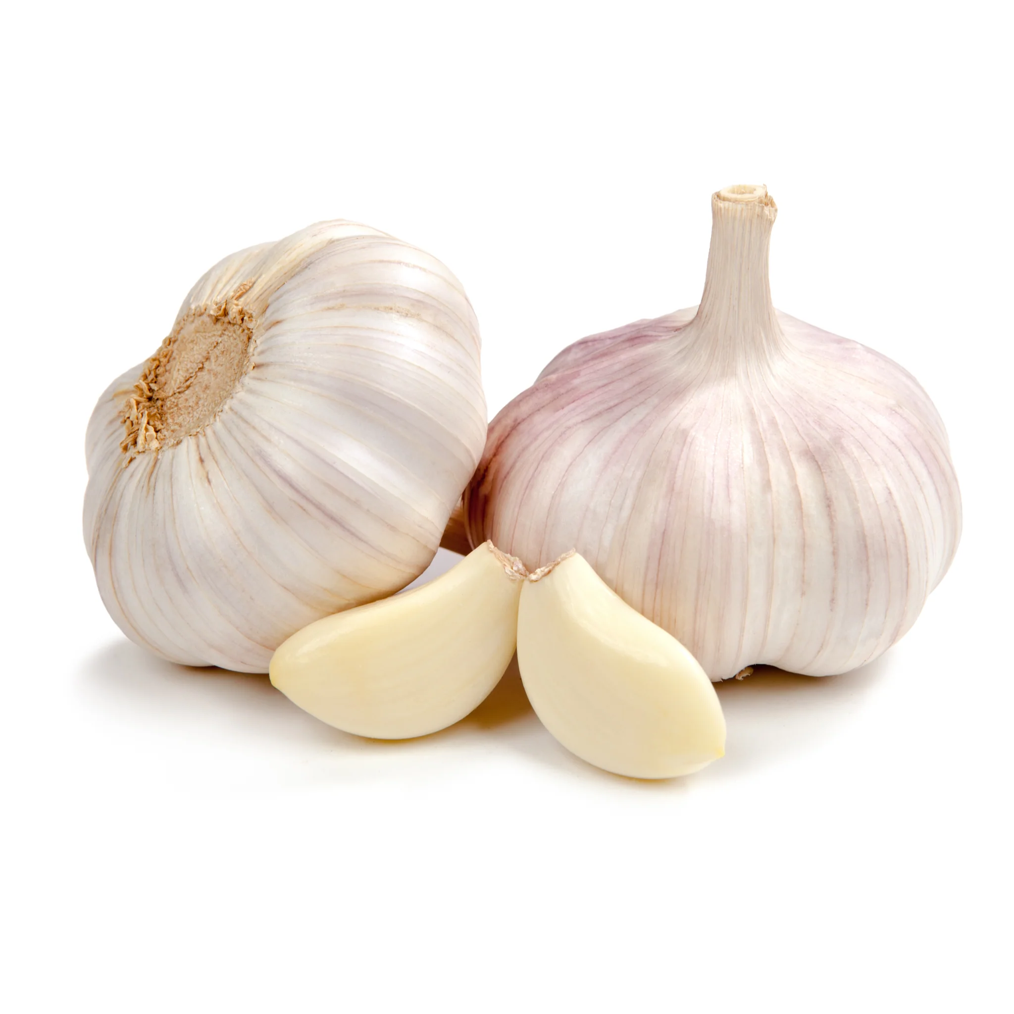 Fresh garlic