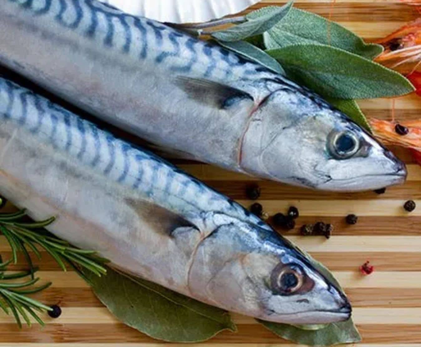 Mackerel 2kg